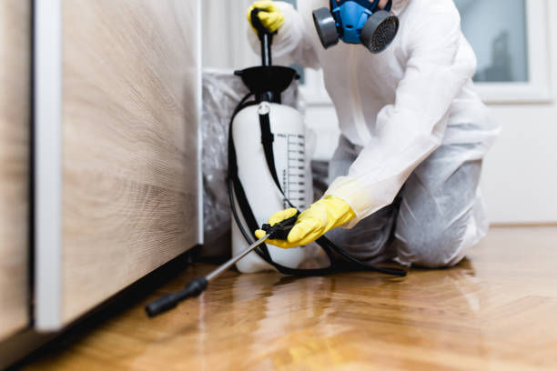 Best Pest Removal Services  in Genesee, ID