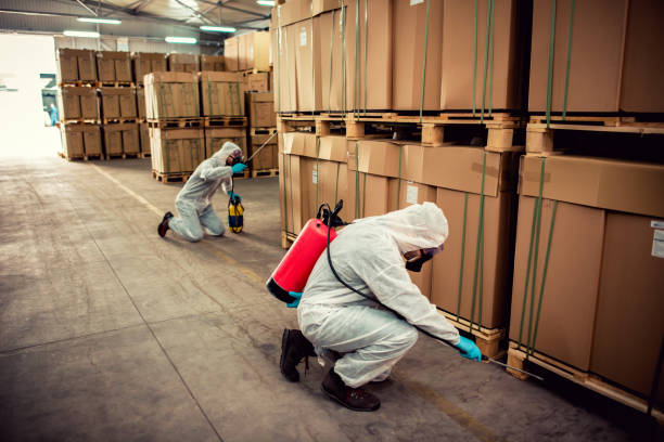 Best Pest Inspection Near Me  in Genesee, ID
