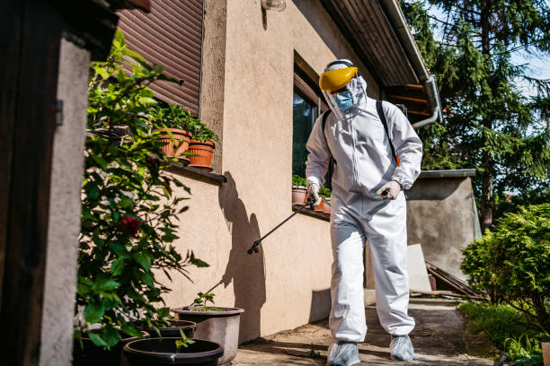 Best Flea Control Services  in Genesee, ID