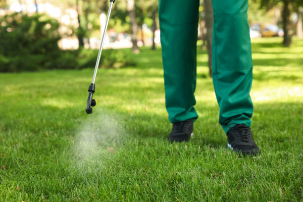 Best Best Pest Control Companies  in Genesee, ID