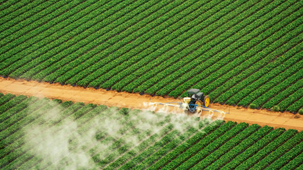 Best Pest Control for Businesses  in Genesee, ID