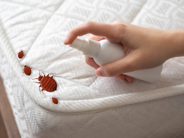 Best Commercial Pest Control Services  in Genesee, ID