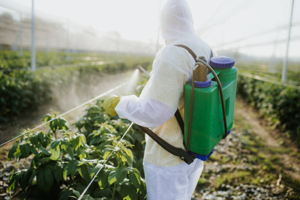 Best Affordable Pest Control Services  in Genesee, ID